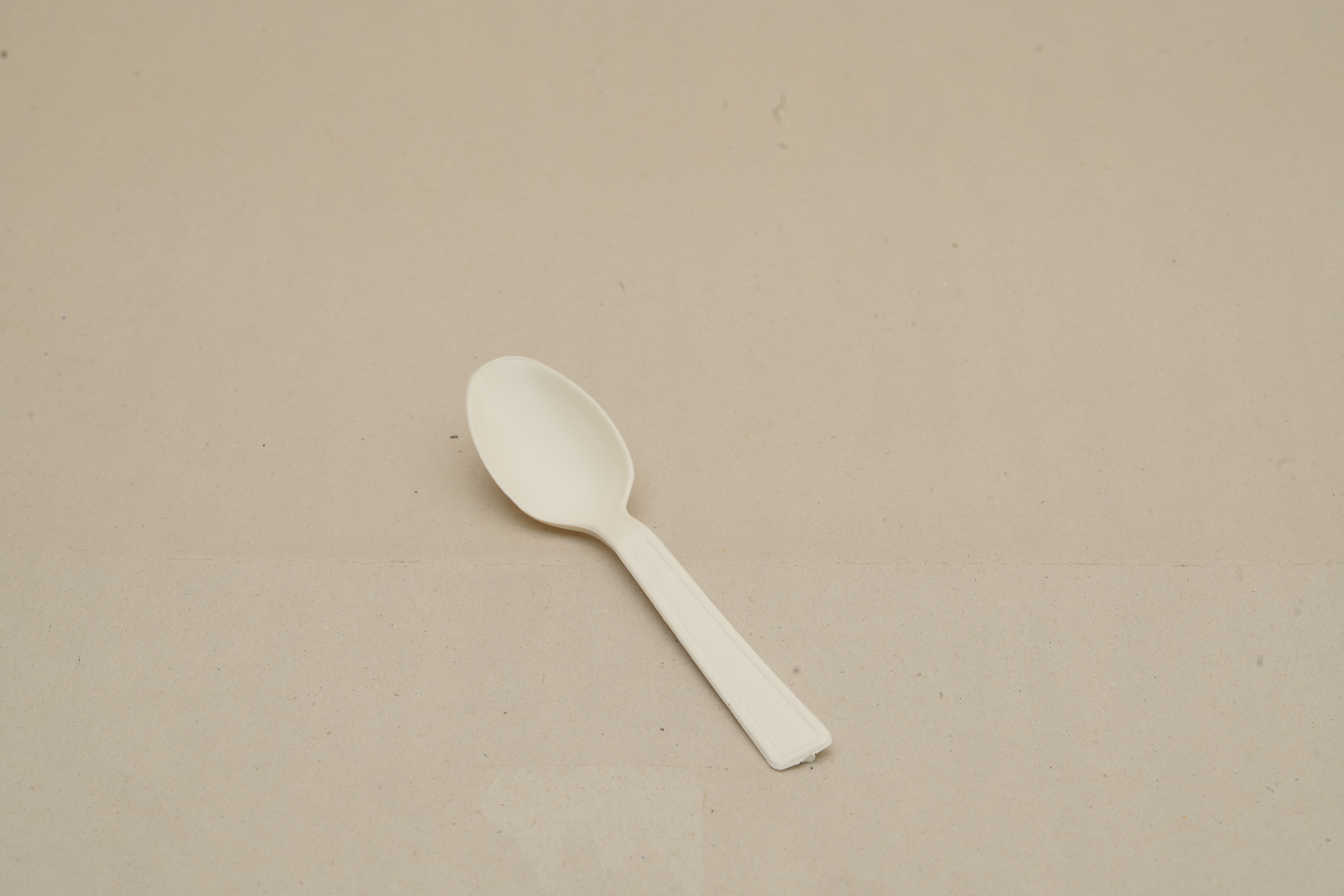 Compostable Spoon